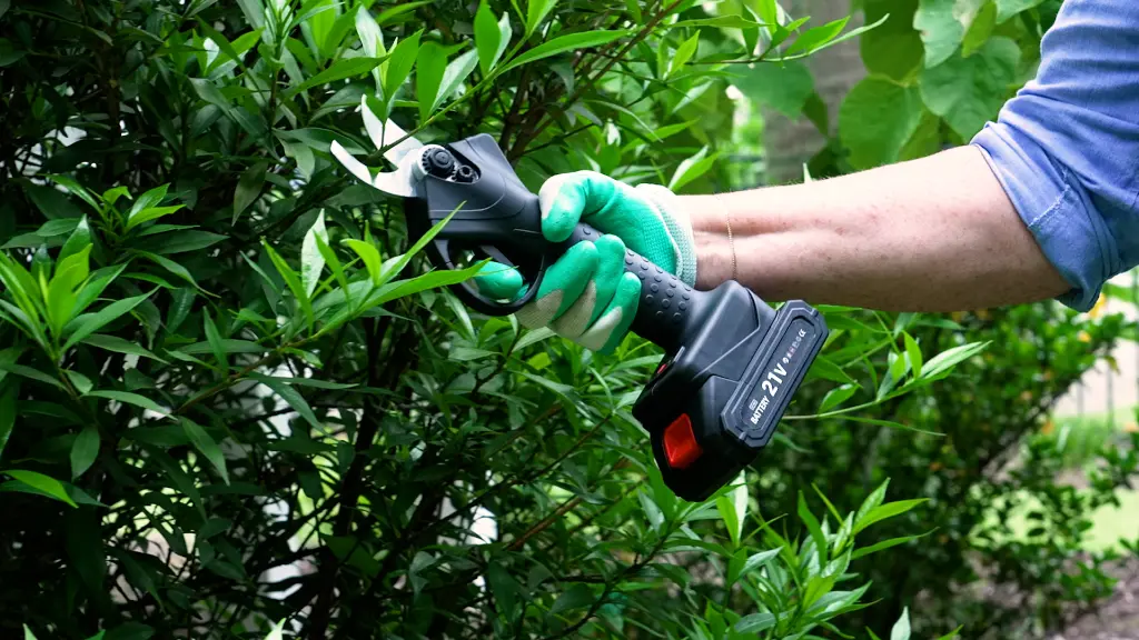 Sécateur électrique 7.webp