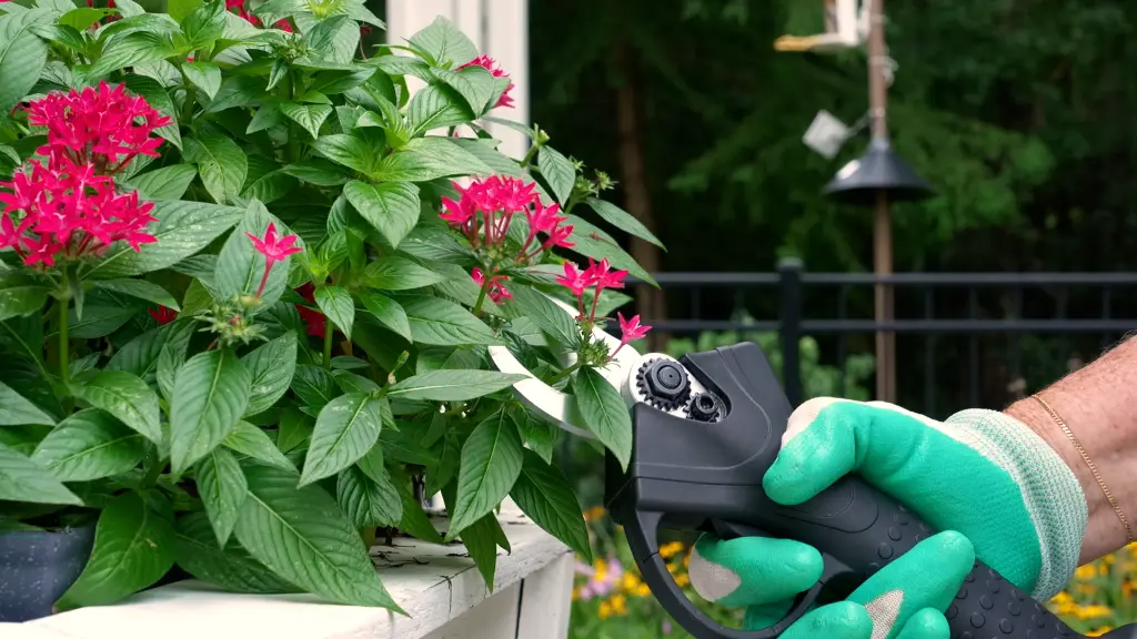 Sécateur électriquel 5.webp