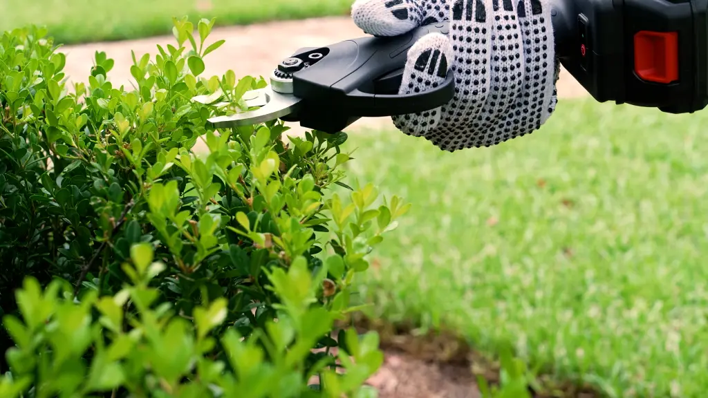 Sécateur électrique 6.webp