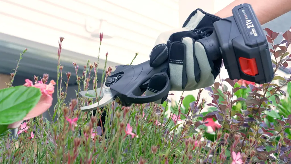 Sécateur électrique 10.webp