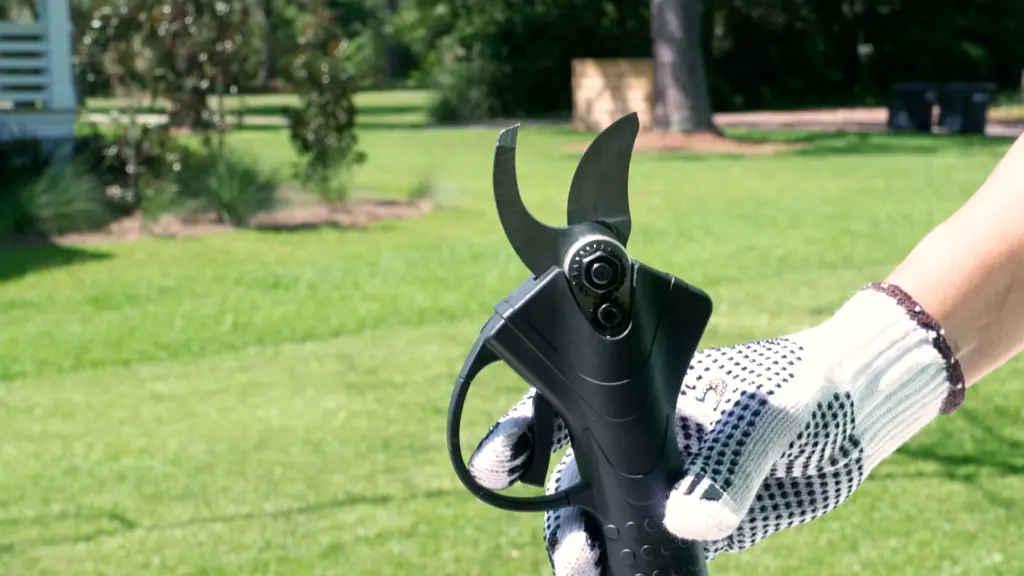 Sécateur électrique 2.webp