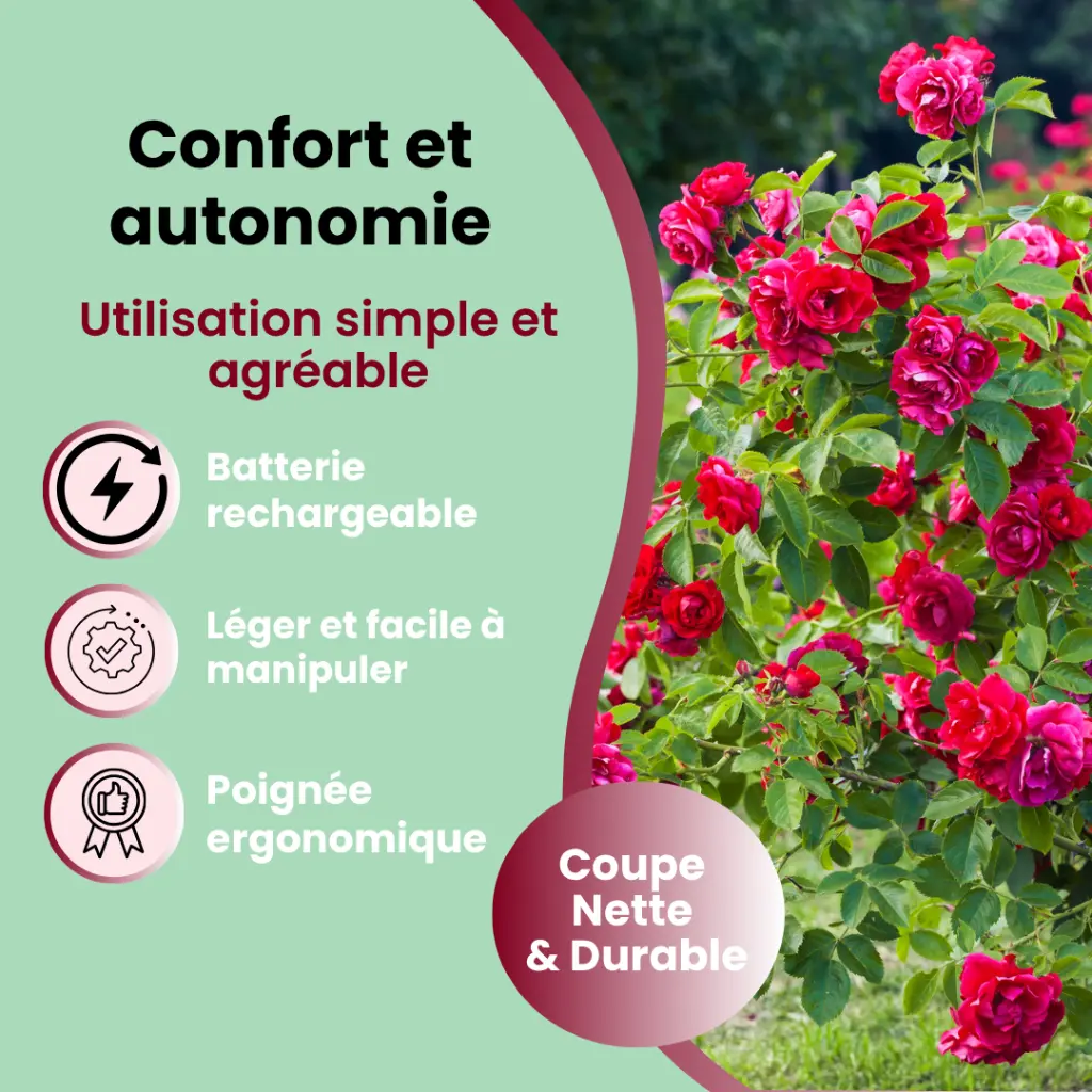 sécateur électrique 11.webp