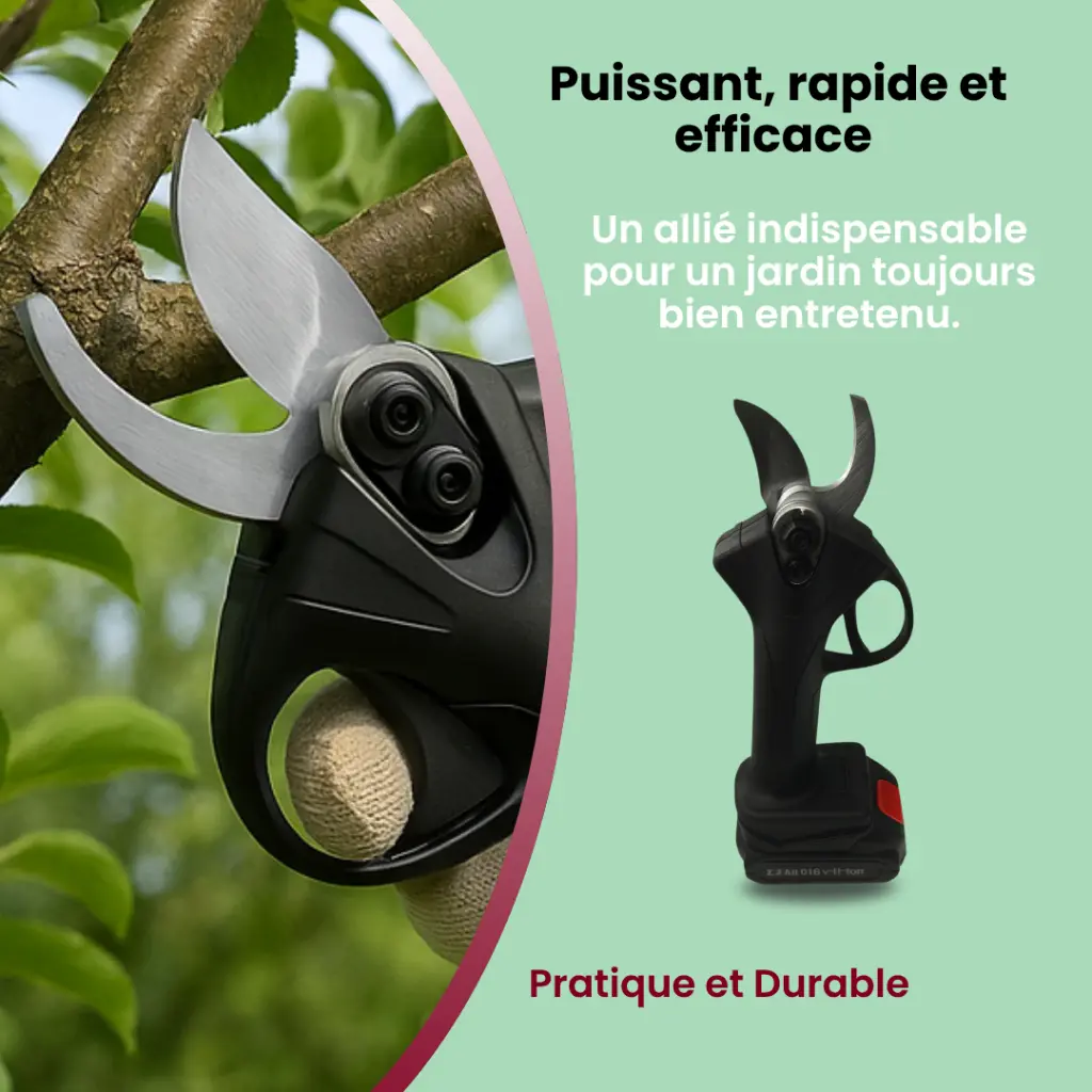 sécateur électrique 12.webp