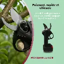 sécateur électrique 12.webp