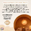 celluslen massager 7.webp