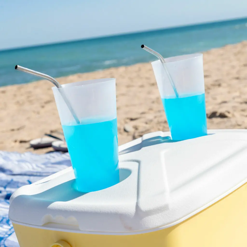 glaciere-rigide-portable 6.webp