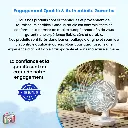 air fresh fan 7.webp