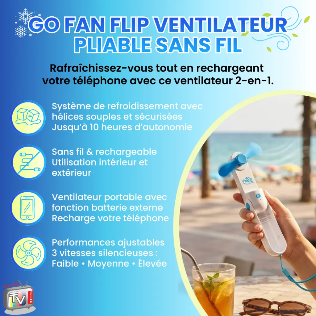 go fan flip 2.webp