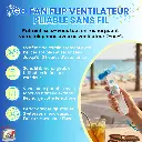 go fan flip 2.webp