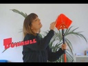 youtube - [Video]