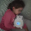 herisson en peluche 4.webp