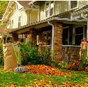 ramasse-feuilles 2.webp