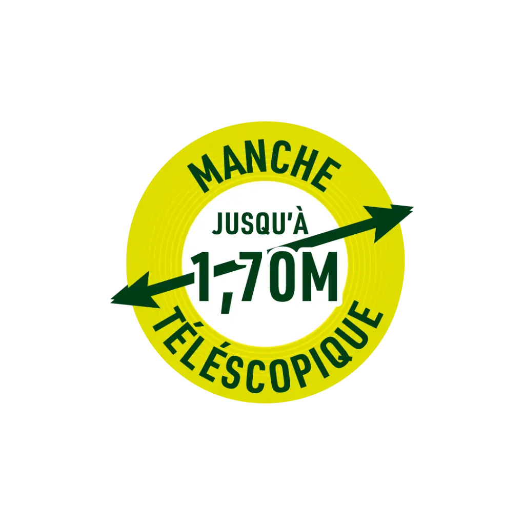 tronçonneuse sans fil 8.webp
