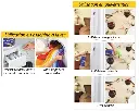 detach express 2kg 2.webp