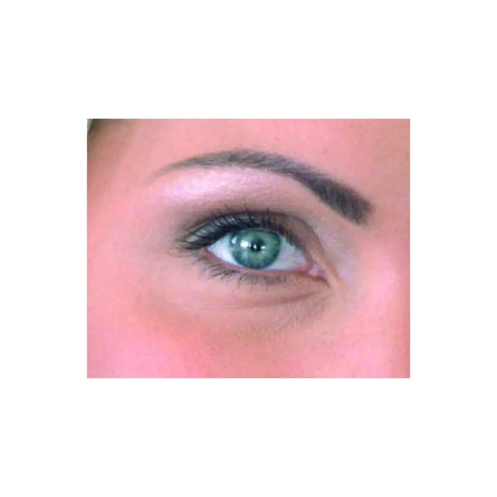 new today 2.webp