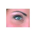 new today 2.webp