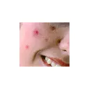 new today 3.webp