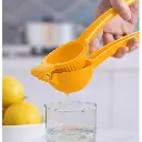 presse citron 5.webp