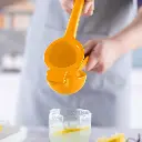 presse citron 4.webp