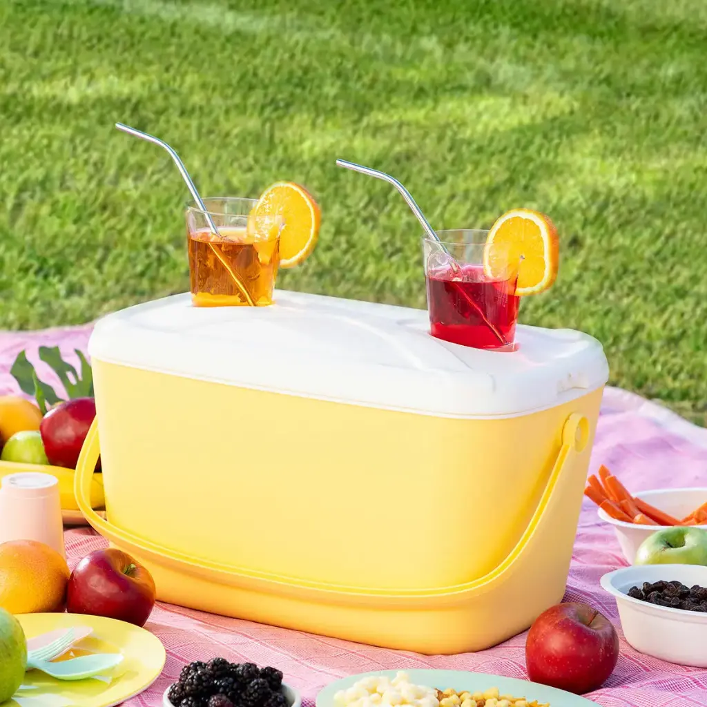 GLACIERE RIGIDE PORTABLE 15L